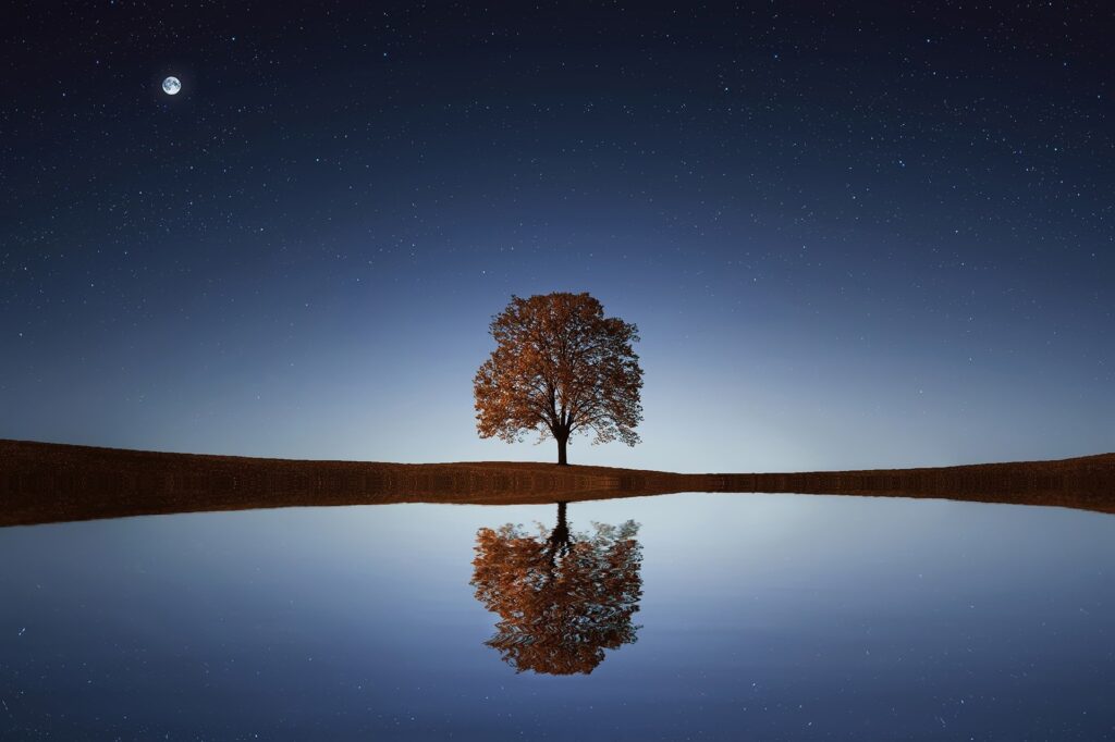 Non Hai Tempo per Meditare? Scopri Come lo Stai già Facendo!