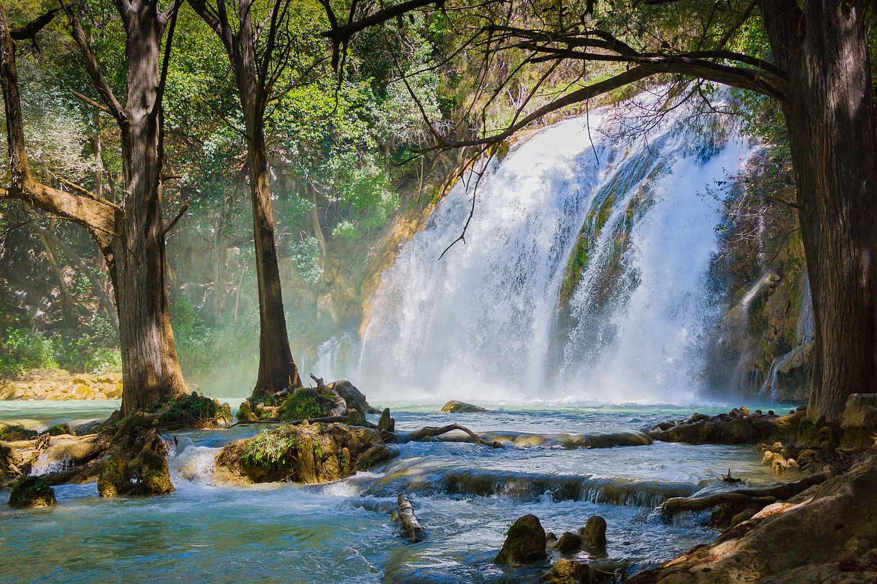🌿 Ambiente e Biodiversità 2025