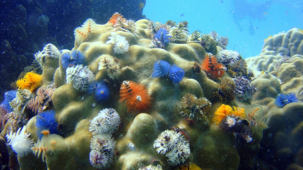 La Crisi della Biodiversità: Un Appello per il Futuro del Pianeta