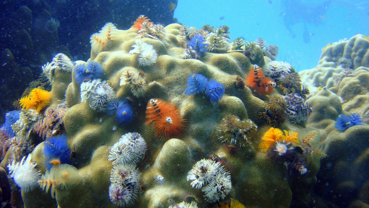 La Crisi della Biodiversità: Un Appello per il Futuro del Pianeta