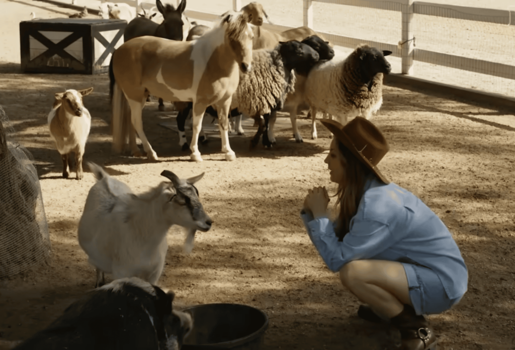 Kaley Cuoco e la sua missione per gli animali