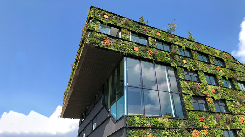 Cemento Biorecettivo: La Natura Abbraccia l'Urbano