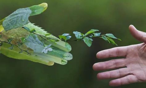 Settimana Verde AMI 2025: Italia unita per l’ambiente