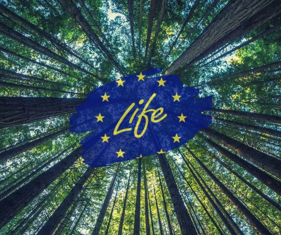 🌍 Programma LIFE: 33 anni di ambiente, azione e futuro.