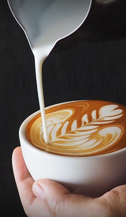 Il Barista Solidale