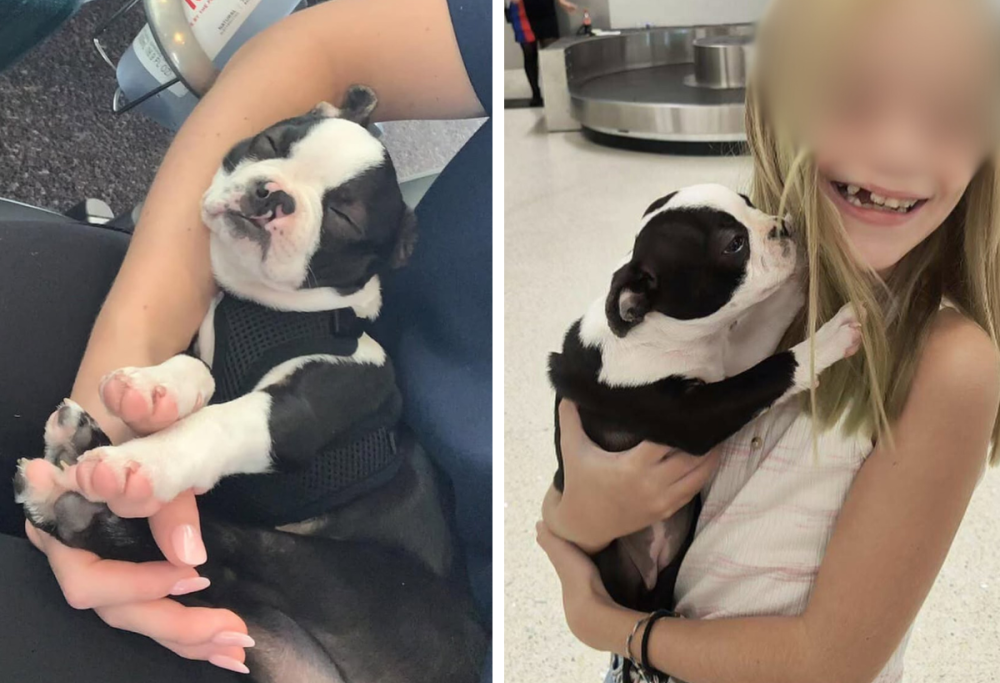 🐶 Bambina con Labbro Leporino Adotta un Cucciolo Come Lei